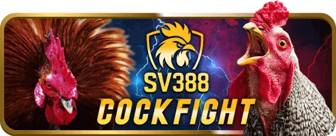 Các game bài phổ biến tại VB68