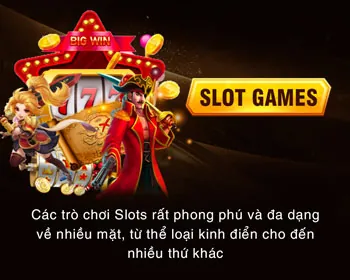 Chương trình VIP VB68